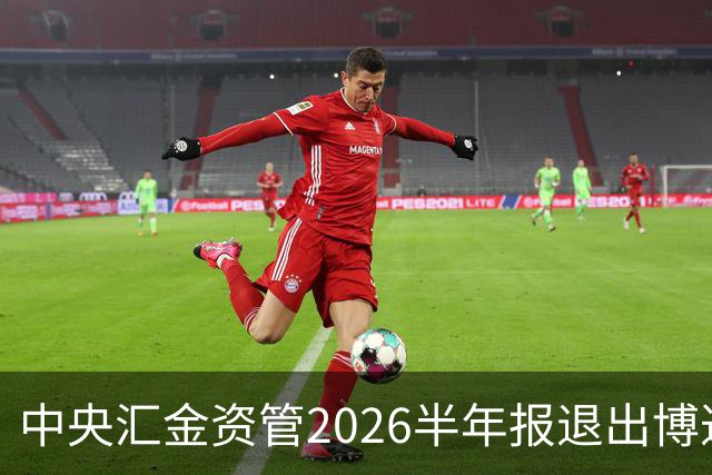 中央汇金资管2026半年报退出博迁新材前十大股东名单