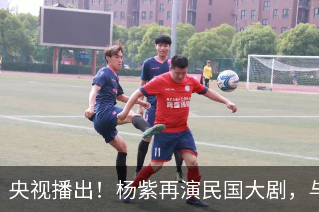 央视播出！杨紫再演民国大剧，与欧豪、吴越搭档，又将掀起新高潮